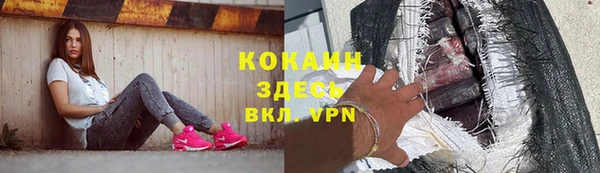 индика Рославль