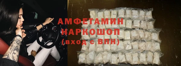 индика Рославль
