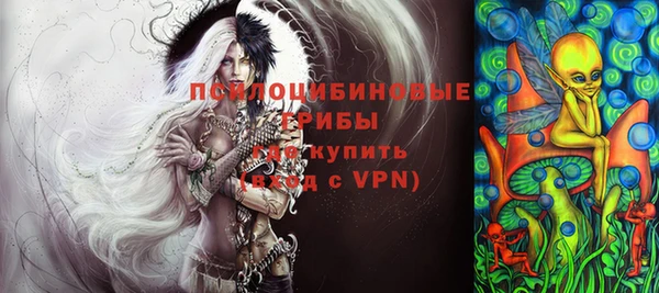 ПСИЛОЦИБИНОВЫЕ ГРИБЫ Алзамай