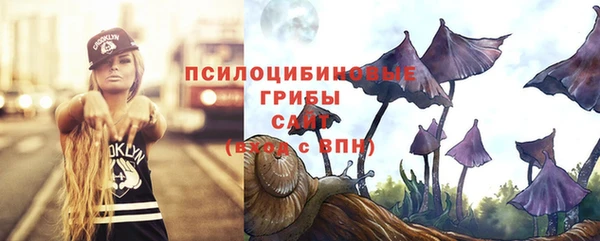 экстази Алексин