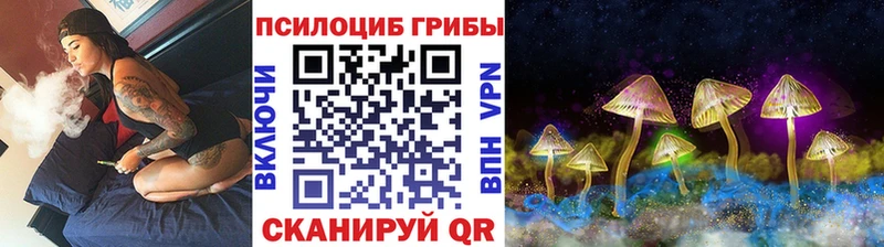 OMG зеркало  Мамадыш  Галлюциногенные грибы мицелий 